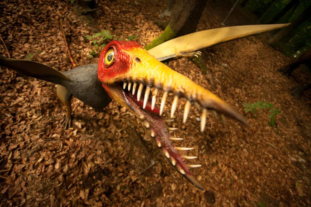 Fotó: Dino Parc Rasnov 