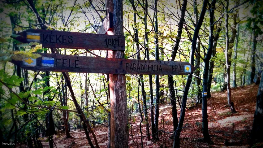 Jógatáborok