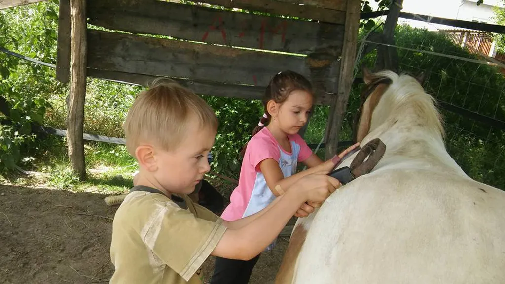 Fotó: Táborok az Amandina Lovasudvarban / Facebook 