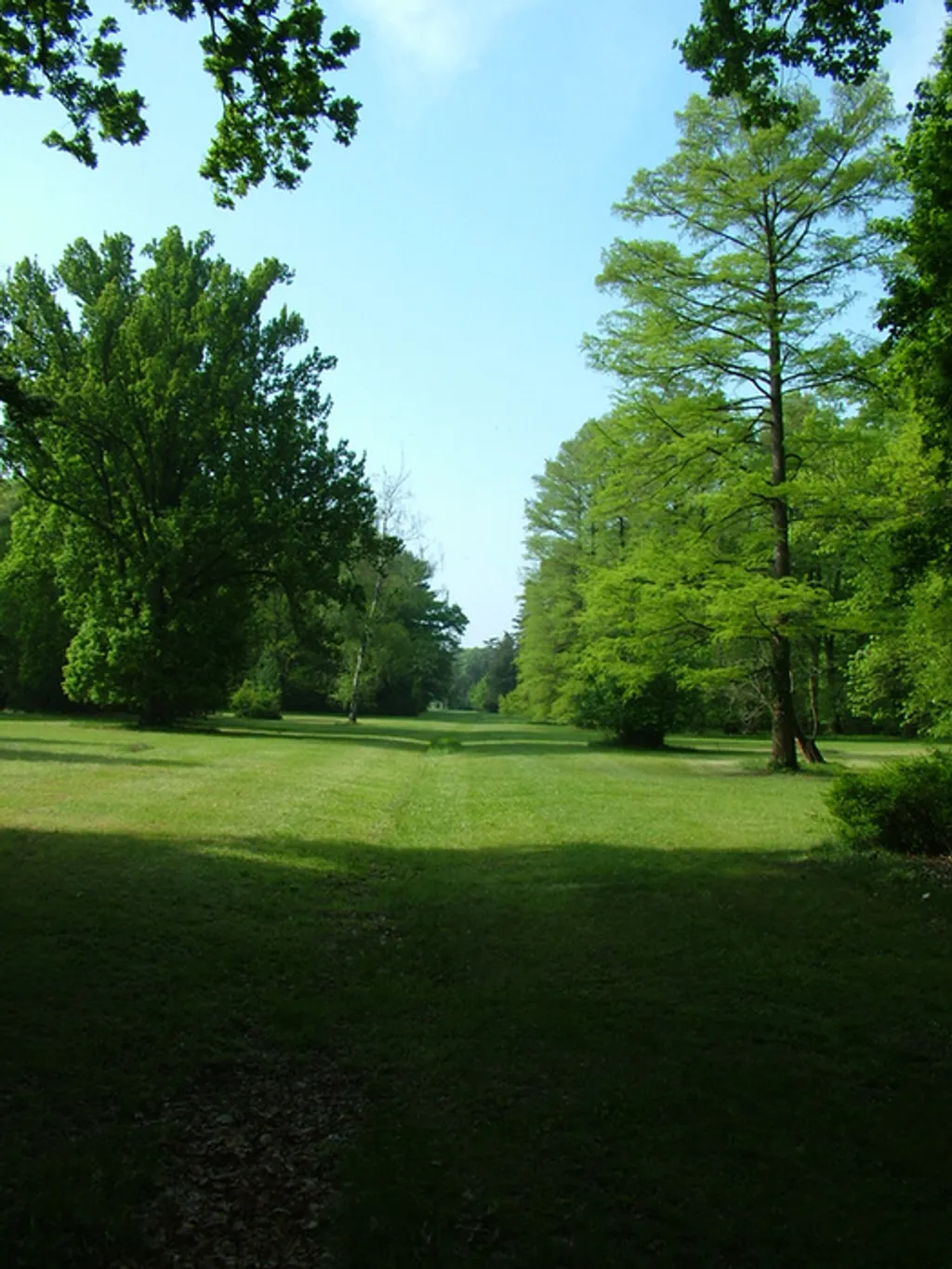 Fotó: Szarvasi Arborétum 