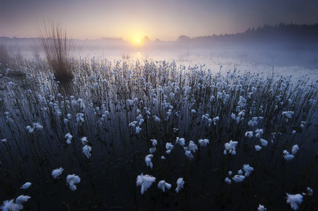 Andrew George / IGPOTY 