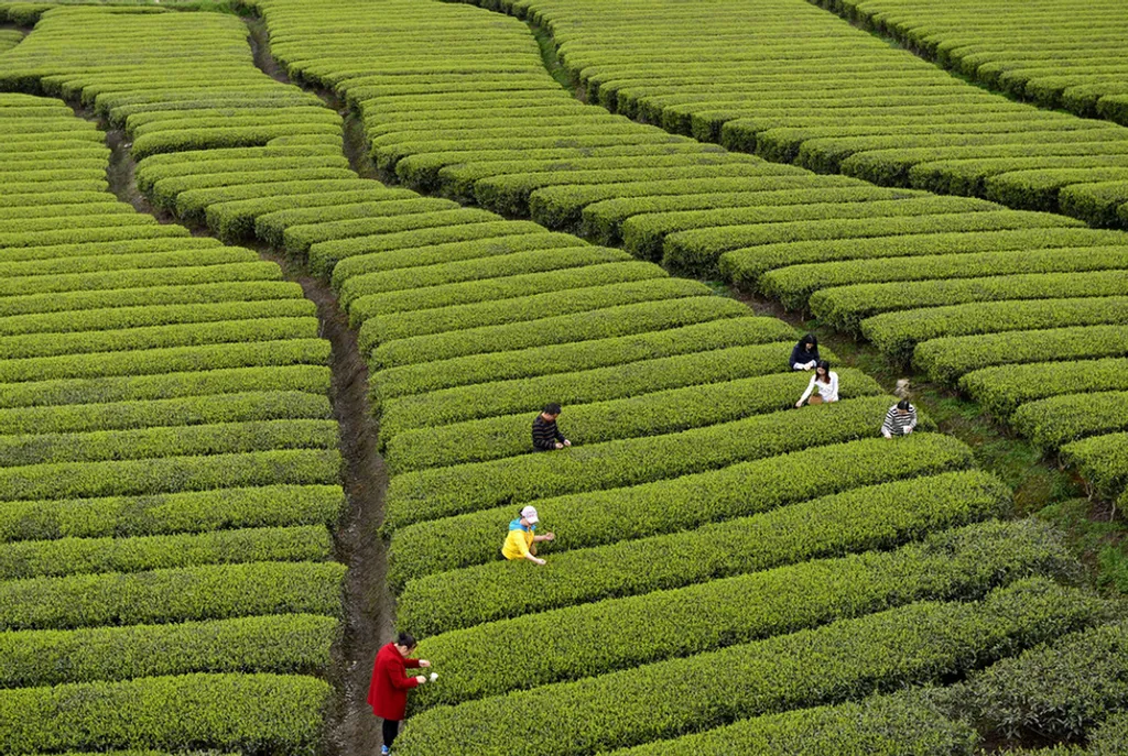 Fotó: Song Wen Xinhua / Eyevine / Northfoto 