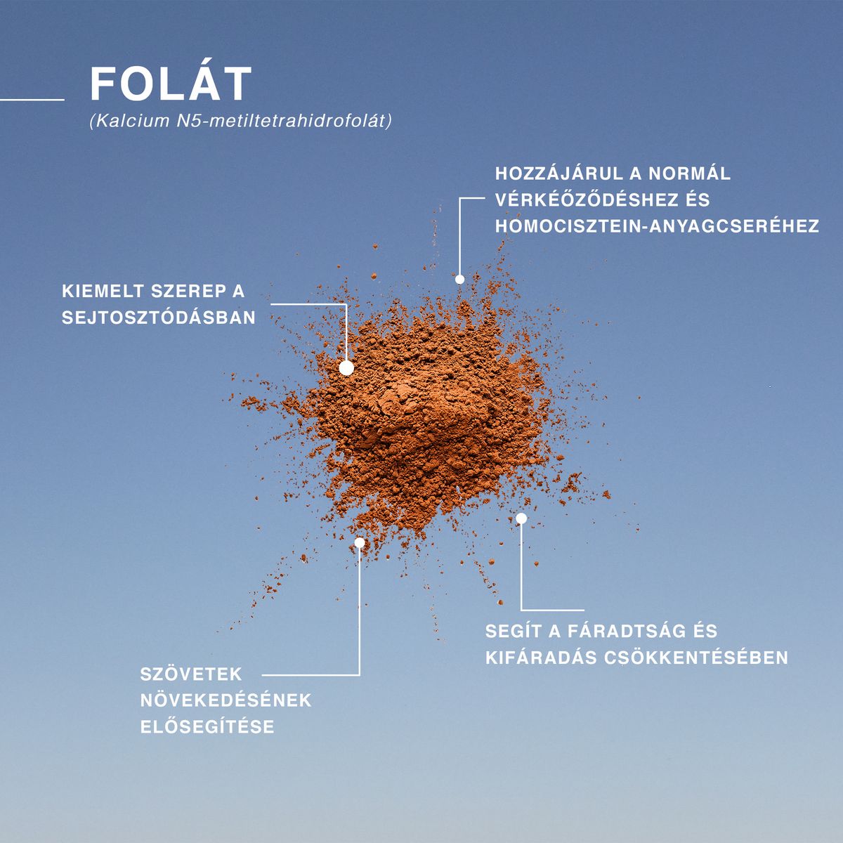 vitamin terhesség folát terhesvitamin