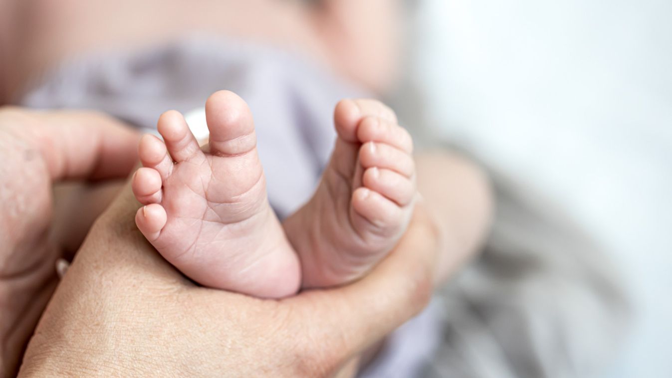 A lelkibéka nyomában: kitől fogadsz el tanácsot?