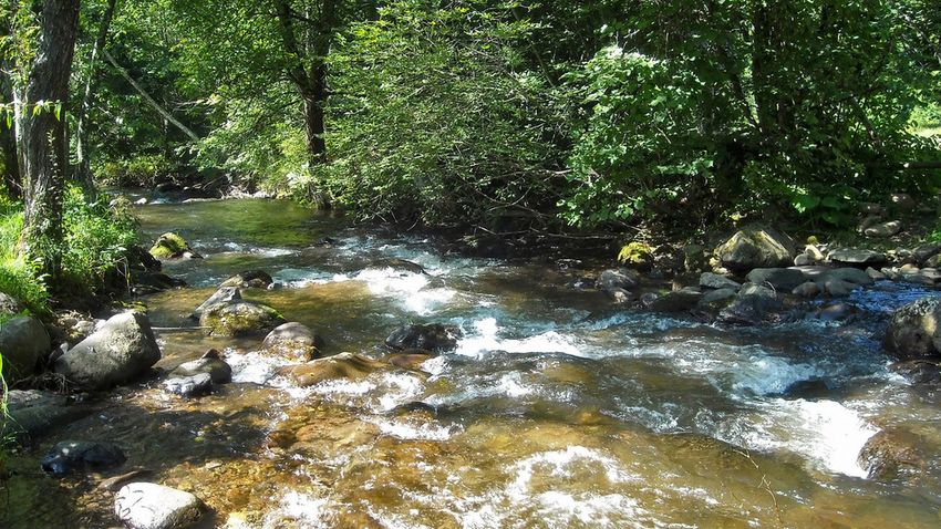 Parajd, Korond