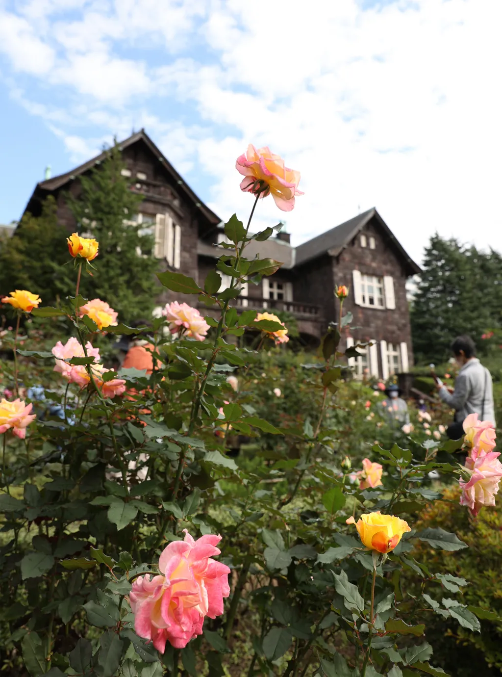 Forrás: The Yomiuri Shimbun via AFP/Yomiuri/Miho Takahashi