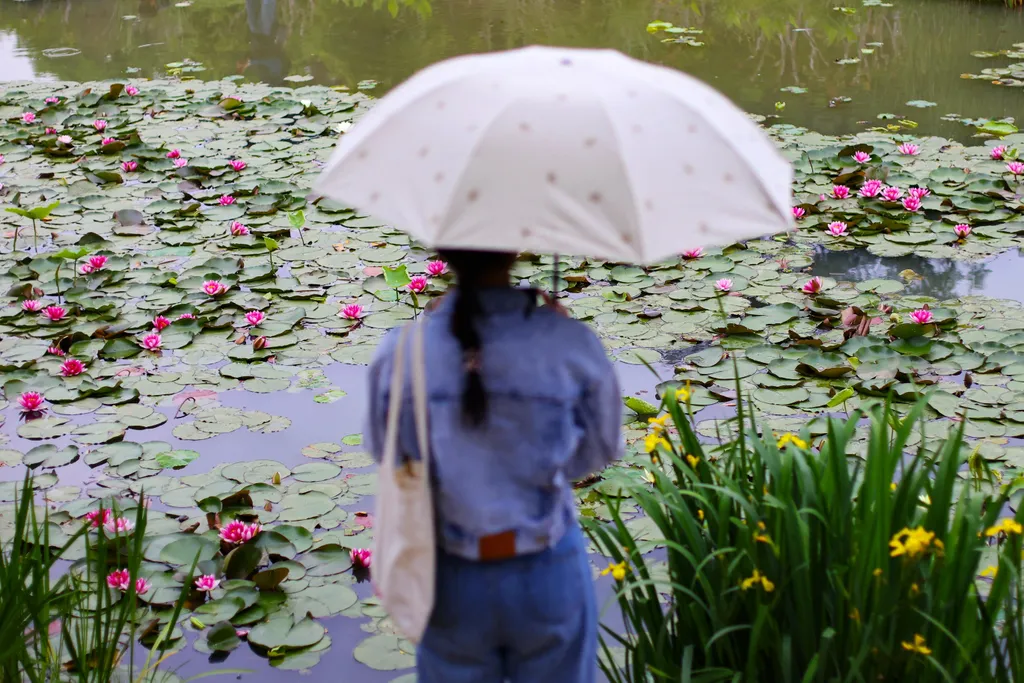 Forrás: Imaginechina via AFP/Yang Bo