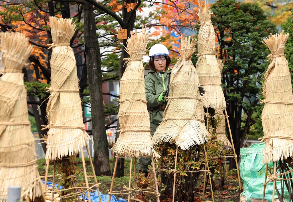 Forrás: The Yomiuri Shimbun via AFP/Yomiuri/Yosuke Hayasaka