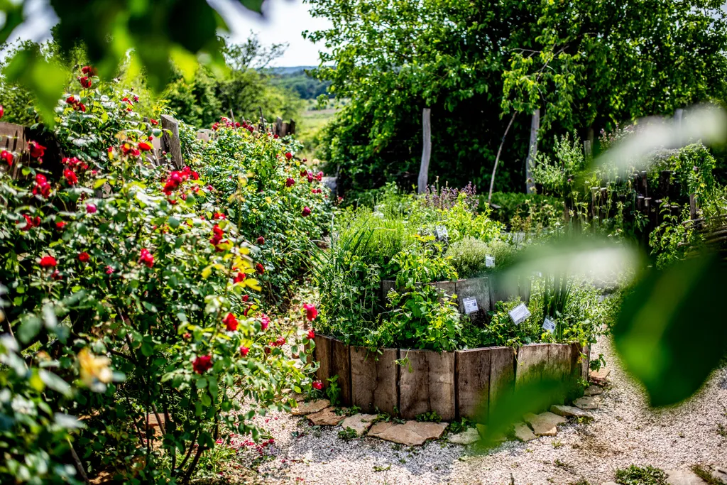 Forrás: Csudai Sándor / Travelo 