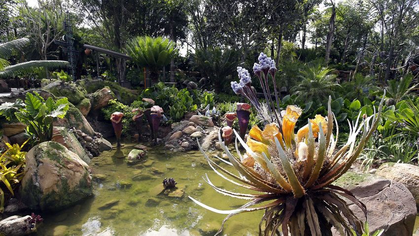 Disney Avatar élménypark nyitás előtt