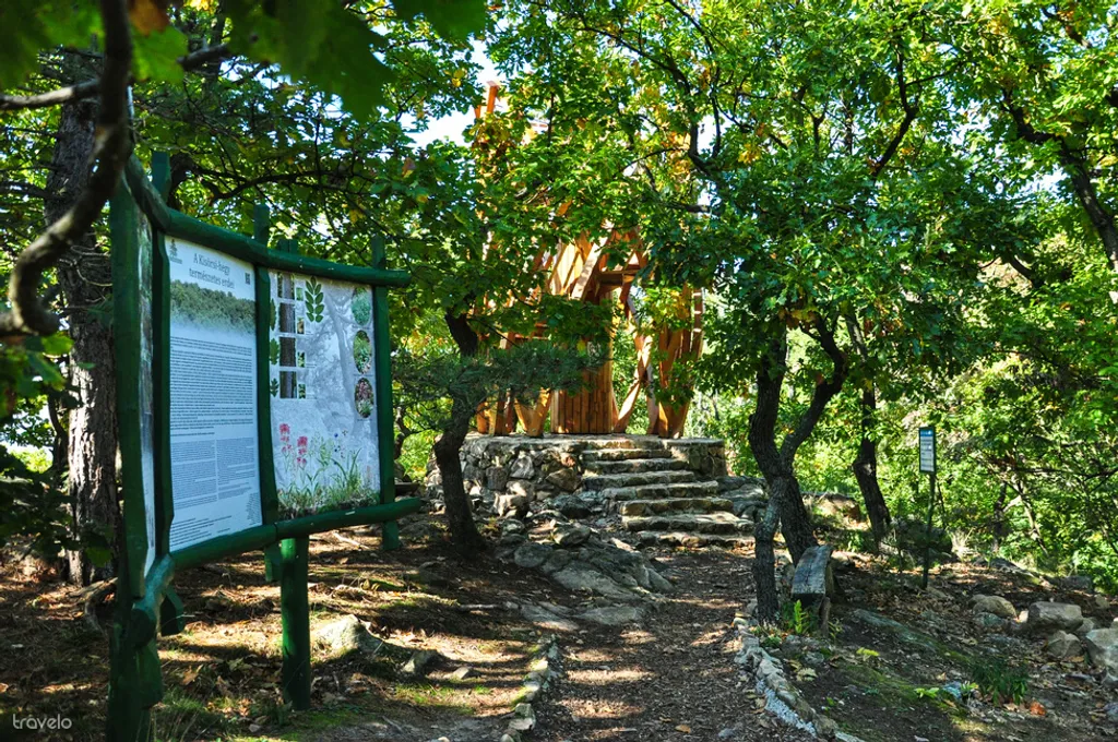 Fotó: Csikesz Mariann 