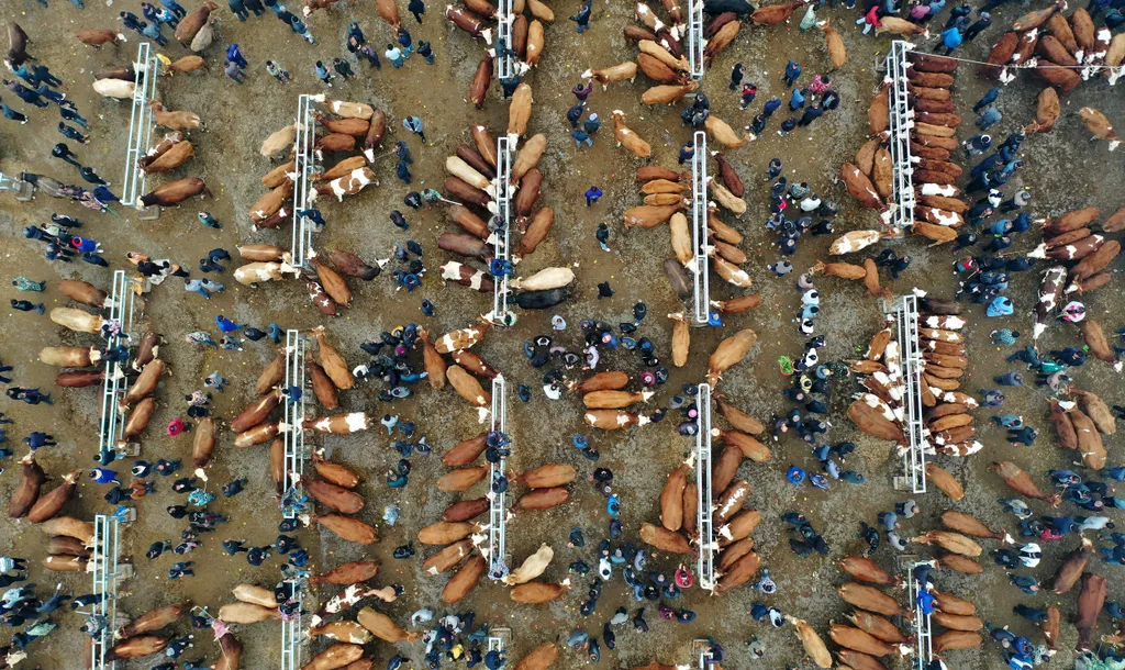 Forrás: AFP/Str