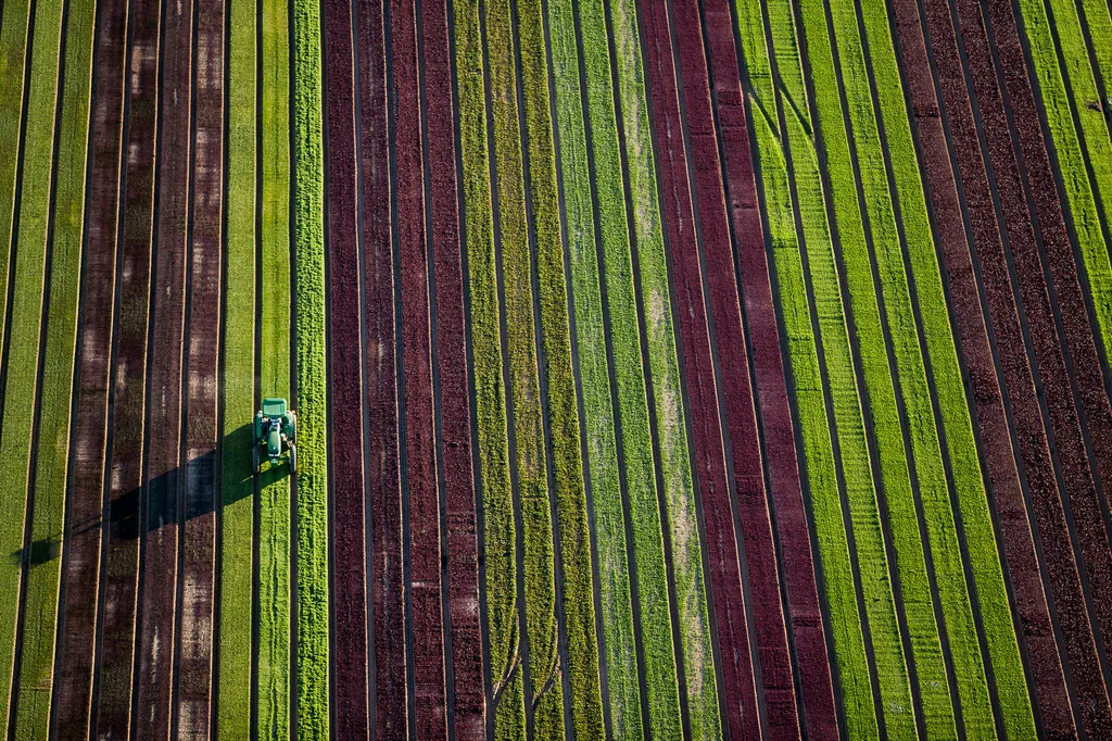Fotó: Alex S. Maclean / Barcroft Usa / Northfoto 