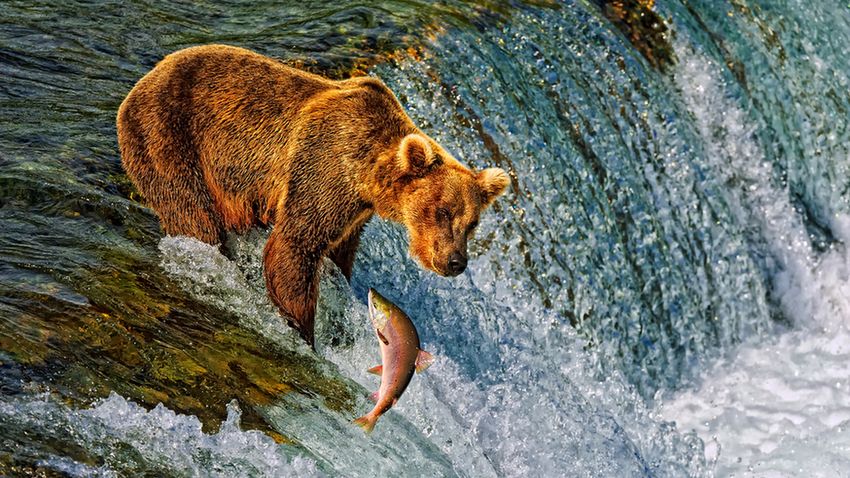 Katmai Nemzeti Park