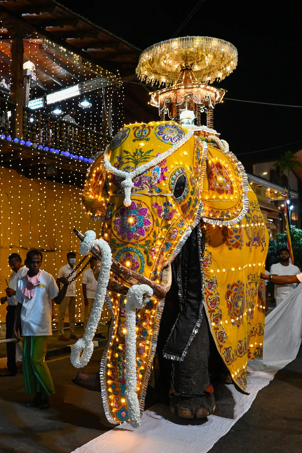 Forrás: AFP/Ishara S. Kodikara