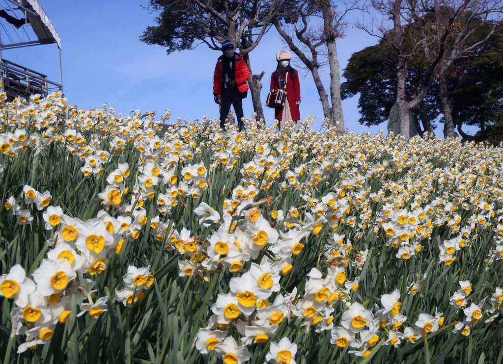 Forrás: The Yomiuri Shimbun via AFP/Yomiuri/Katsumi Tanaka