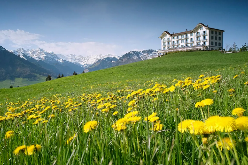 Fotó: Hotel Villa Honegg 