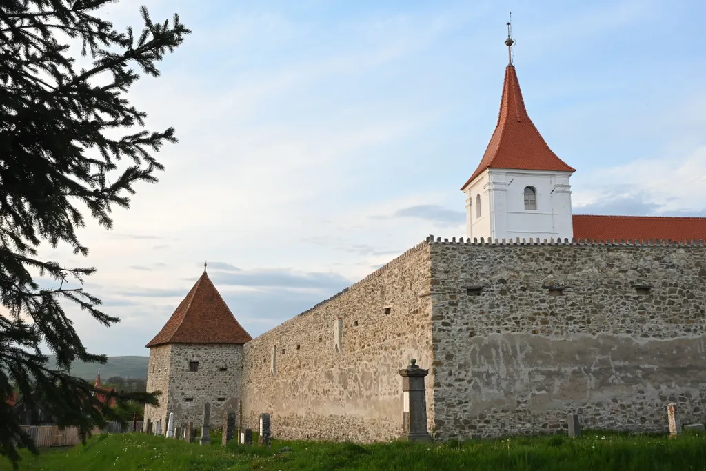 Forrás: MTI/Kátai Edit