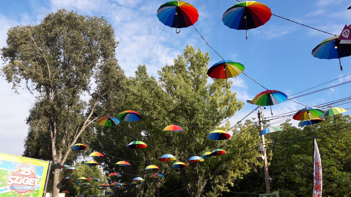 Vakmacska Sziget