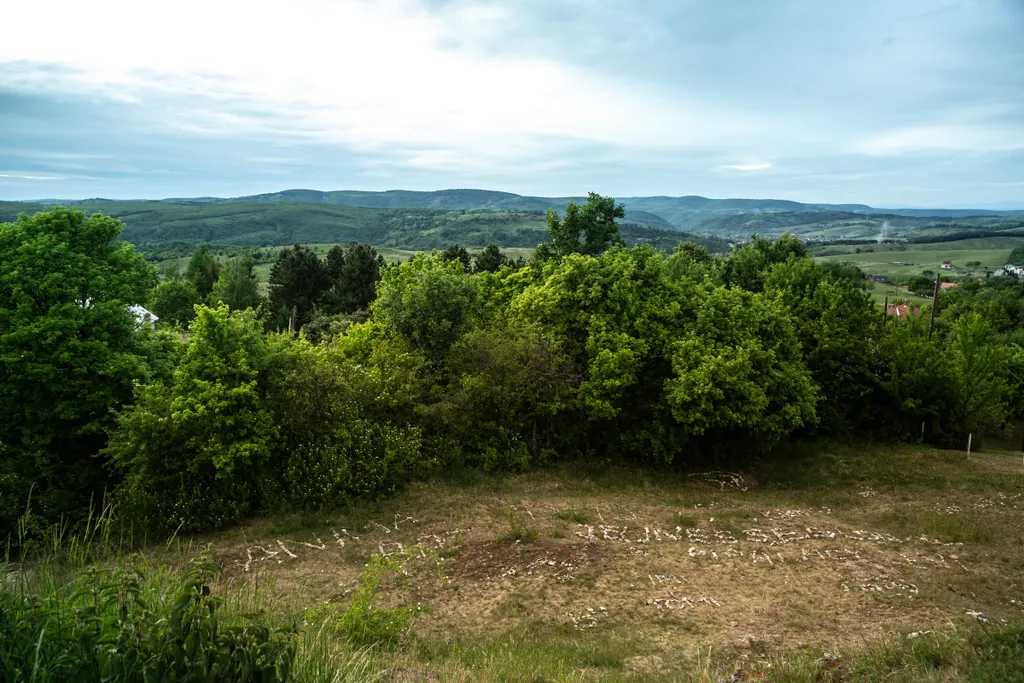 Forrás: Travelo 