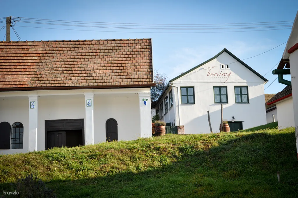 Fotó: Csikesz Mariann 