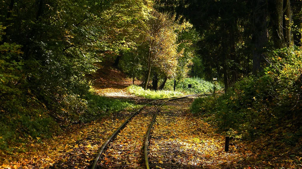 Fotó: Norbikapitany / Indafotó 