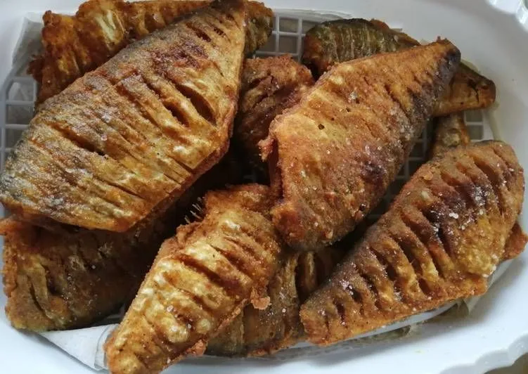 Balaton legjobb halsütői, hekkező, pisztráng