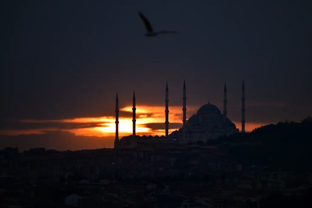 Forrás: Anadolu via AFP/2024 Anadolu/Isa Terli