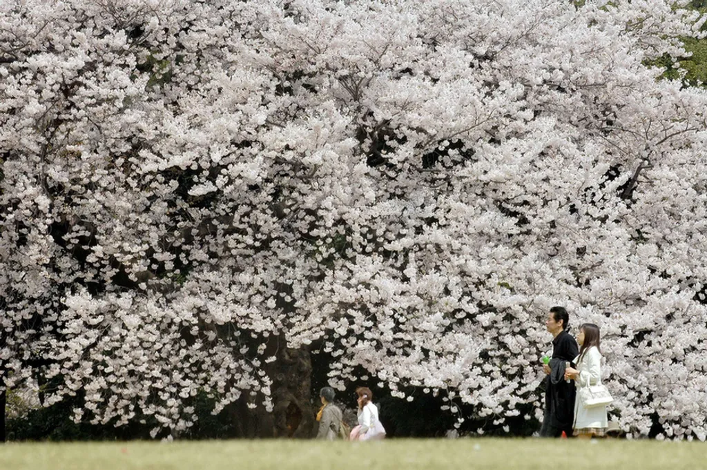 Fotó: Sun Wei / Northfoto 