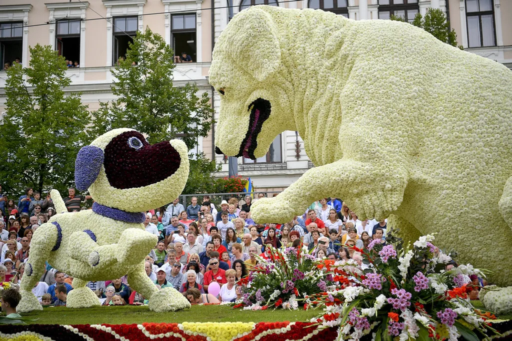 Fotó: Czeglédi Zsolt / MTI 