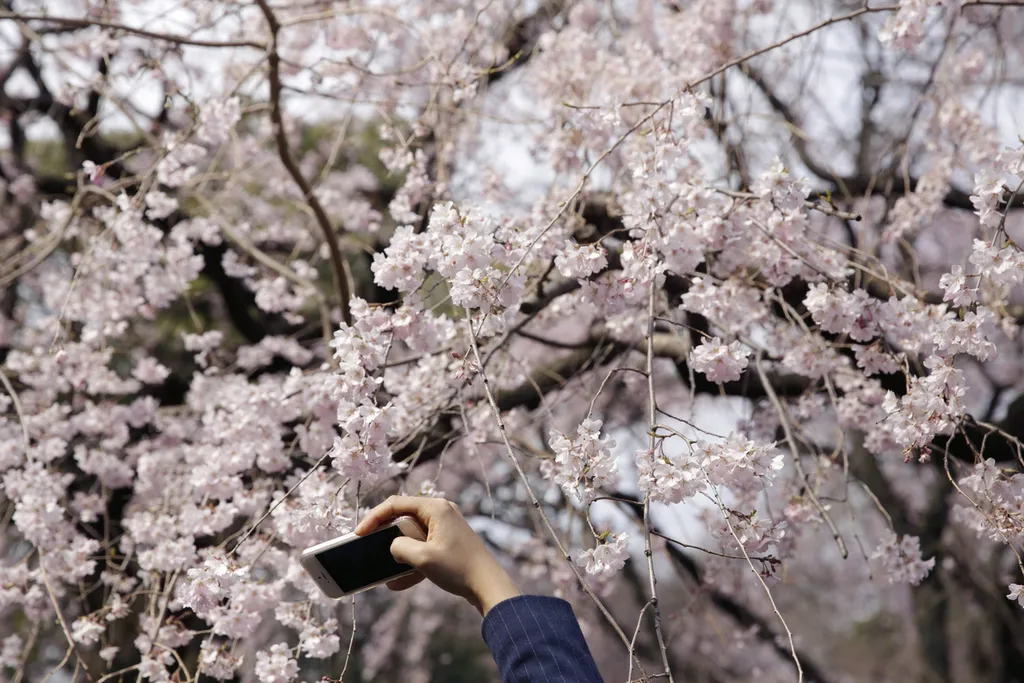 Fotó: Eugene Hoshiko / MTI 