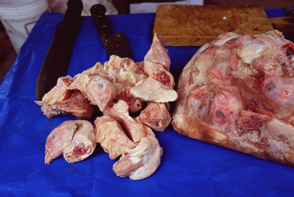 Fotó: Eric-Paul-Pierre Pasquier / Europress / Getty 