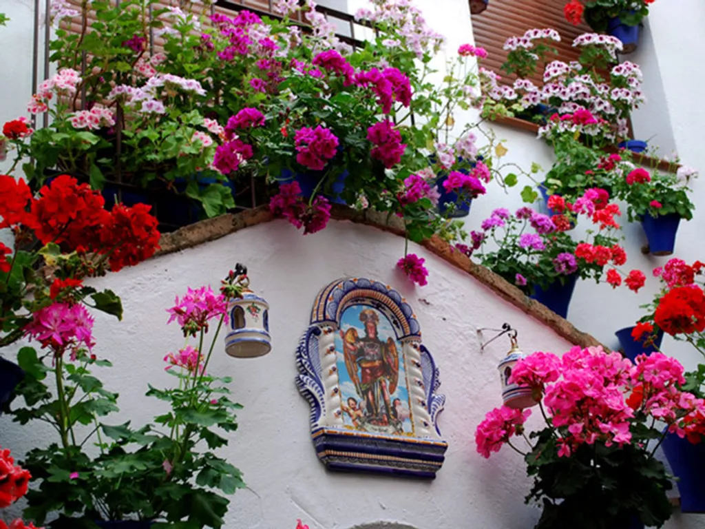 Fotó: patios.cordoba.es 