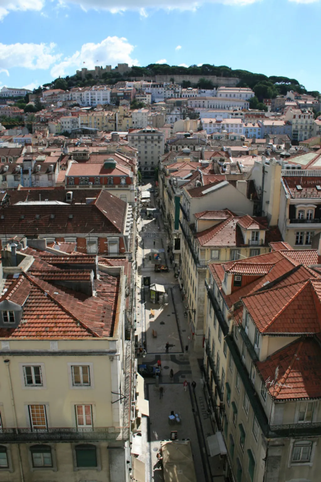Wikimedia Commons 