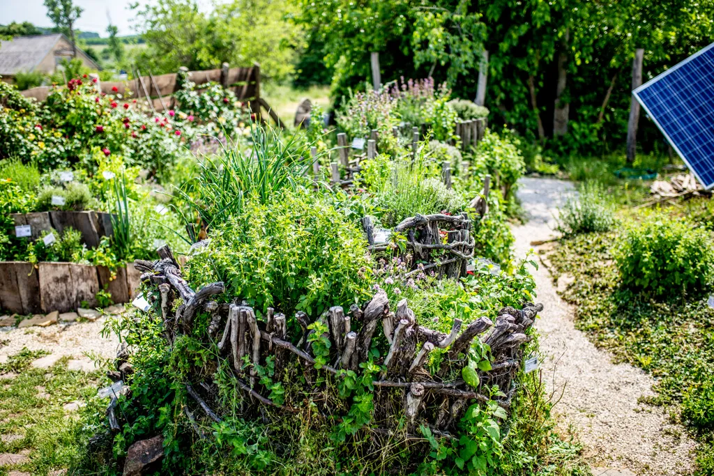 Forrás: Csudai Sándor / Travelo 