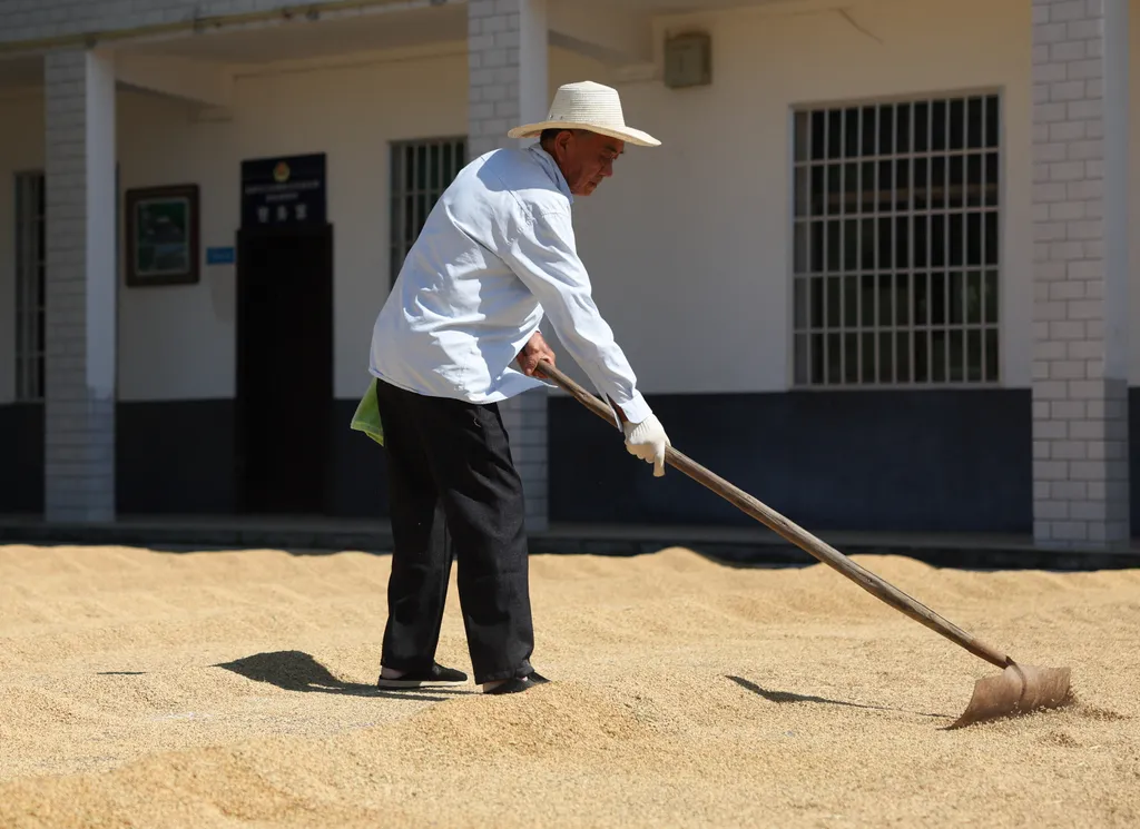 Forrás: Xinhua via AFP/Xinhua News Agency.All Rights Reserved/Xue Yuge