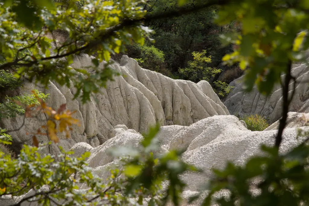 Fotó: Drexler Szilard / Geopark 
