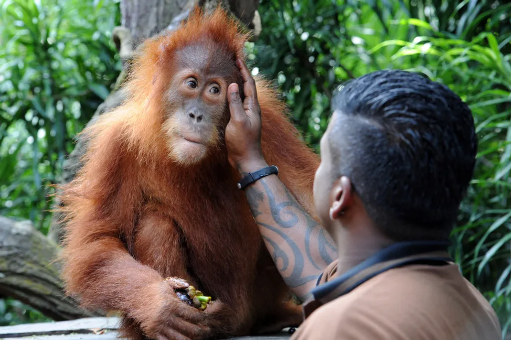 Fotó: Then Chih Wey Xinhua / eyevine / Northfoto 