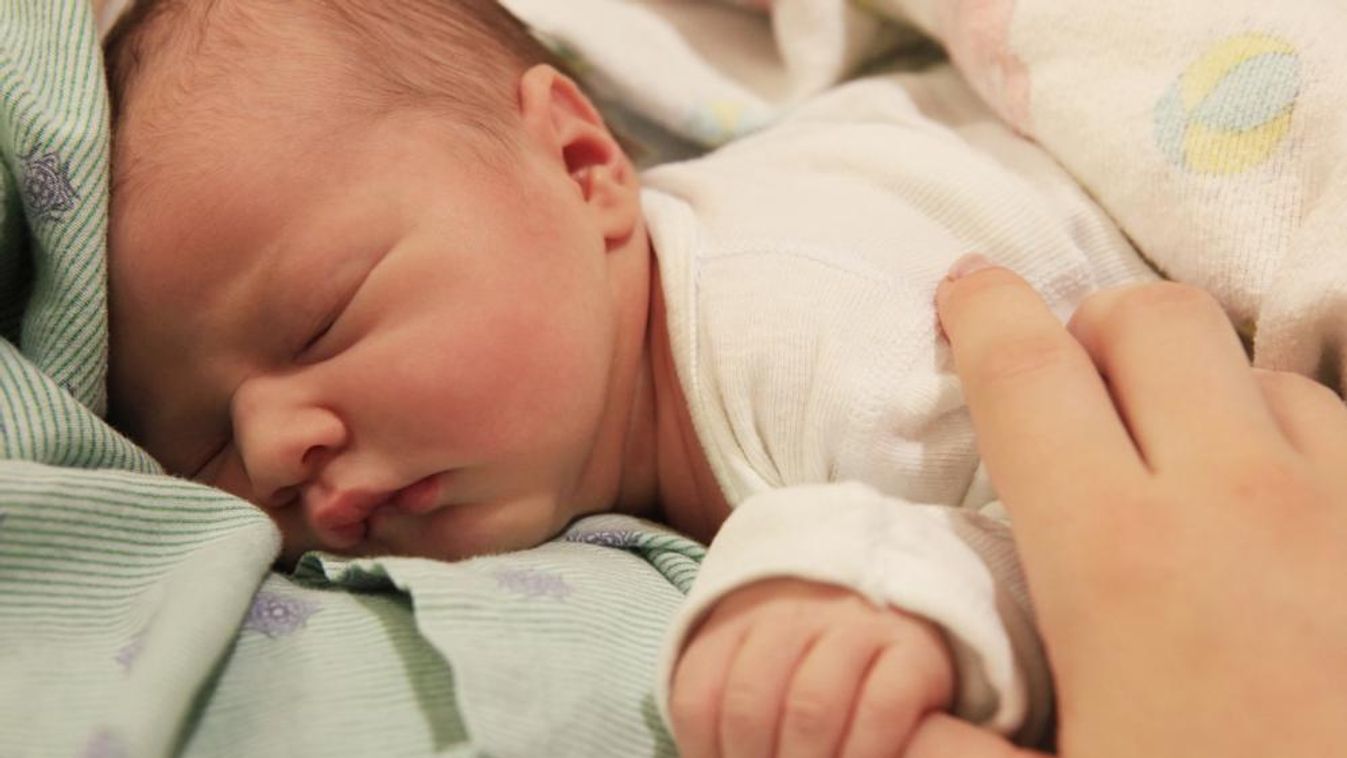 Tápszerrel tömik a babákat a János Kórházban