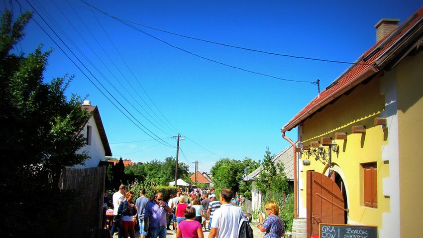 Travelo programajánló 36. hét