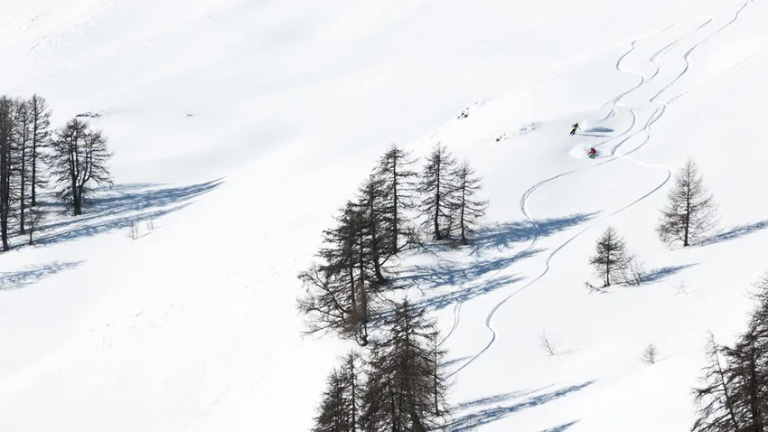 Freeride bajnokság