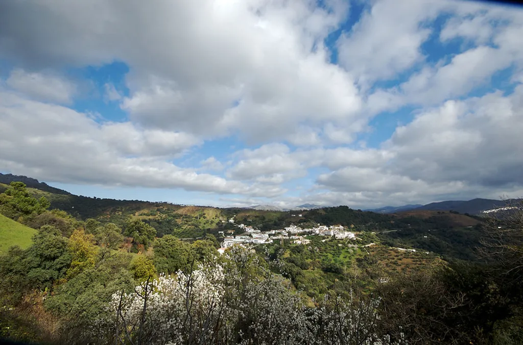 Fotó: Wikimedia Commons 