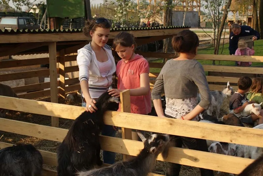 Fotó: szoloszemfarm.hu 