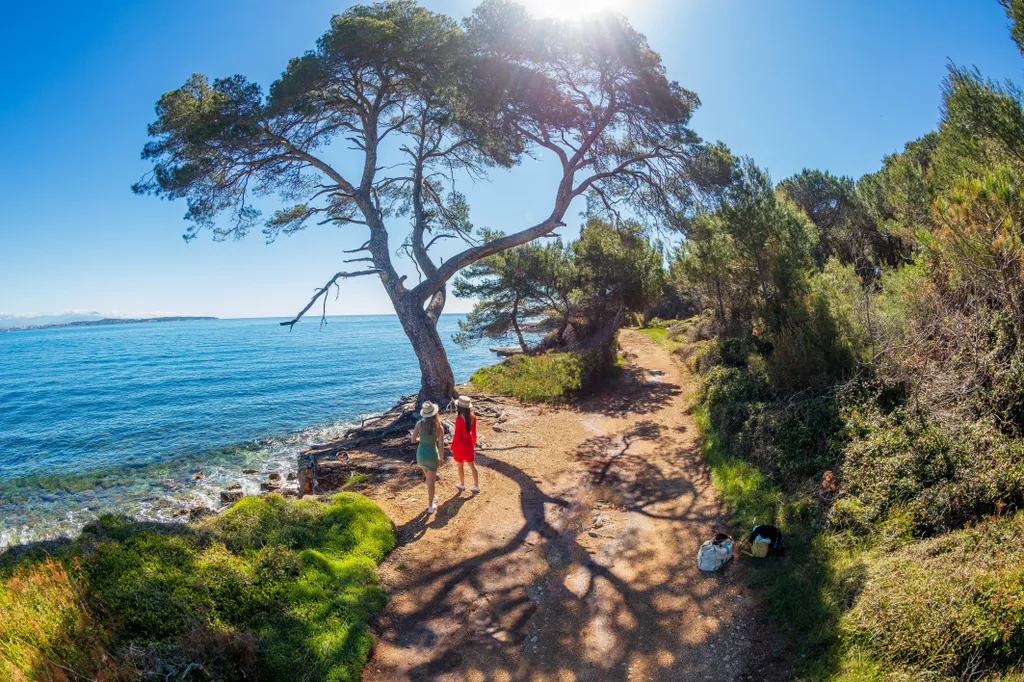 Forrás: Only France via AFP/Robert PALOMBA / ONLYFRANCE.FR/Robert Palomba