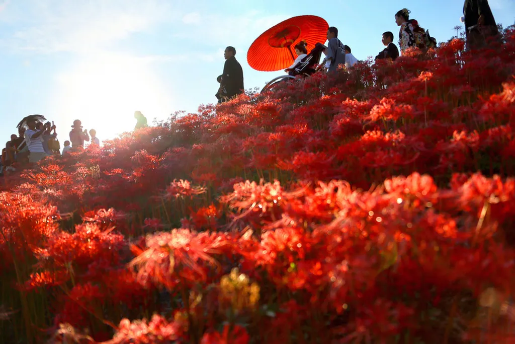 The Asahi Shimbun / Europress / Getty 