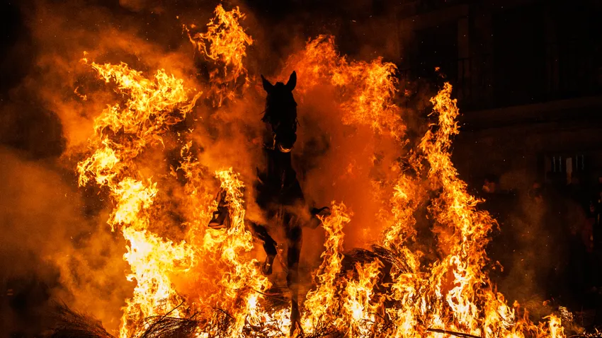 Képekben az elmúlt 24 óra - január 17.