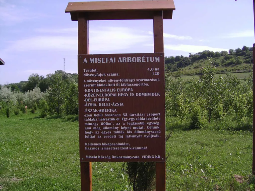 Fotó: Misefa 