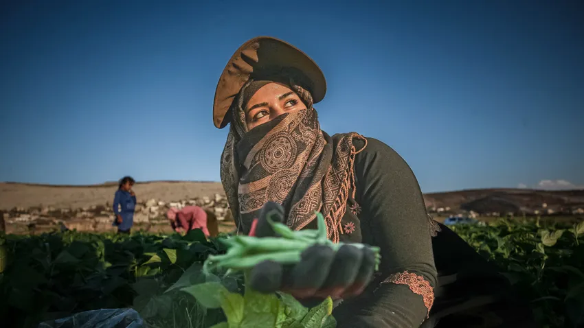 Képekben az elmúlt 24 óra - október 15.