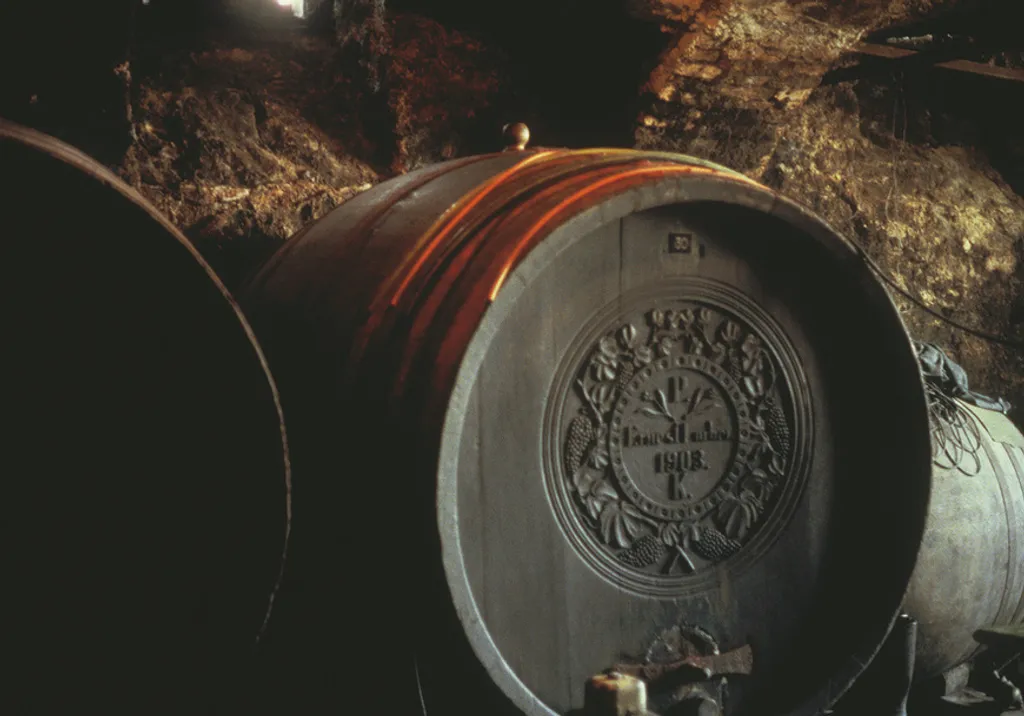 Fotó: Noguchi Porter Novelli 