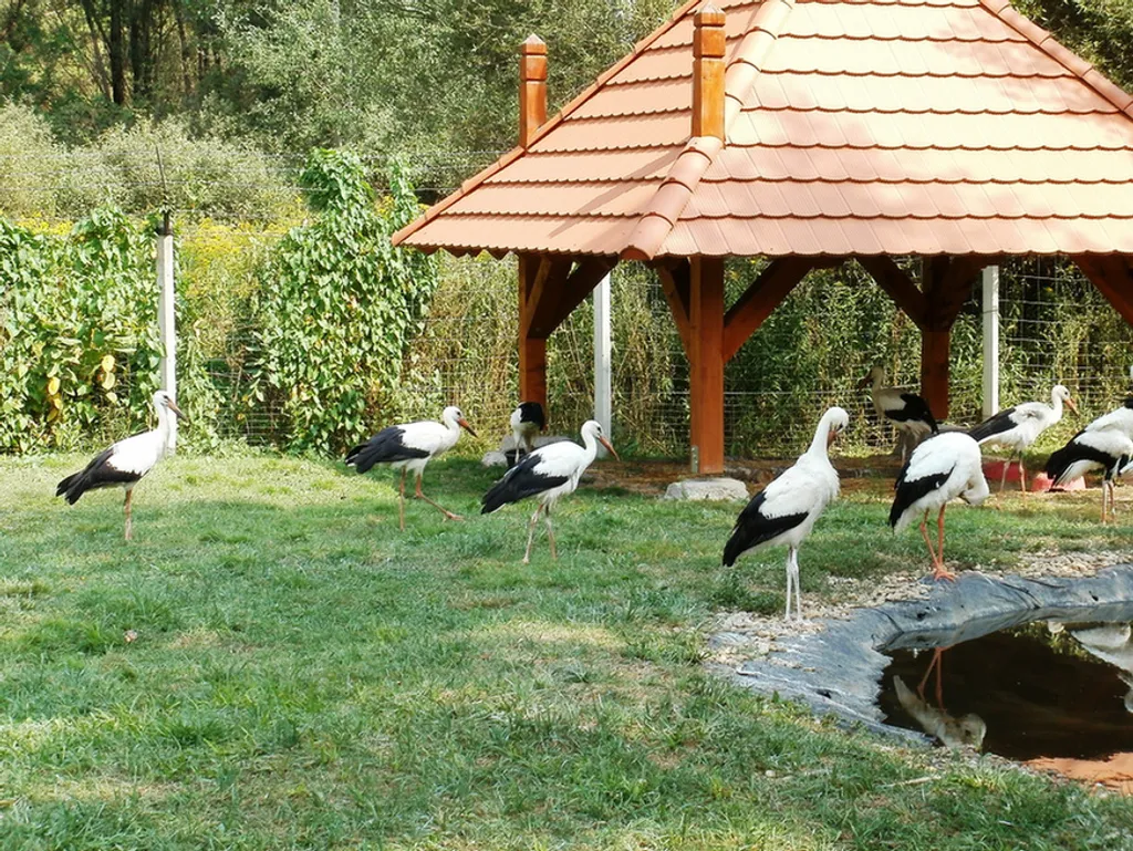 Fotó: mimi / Travelo 